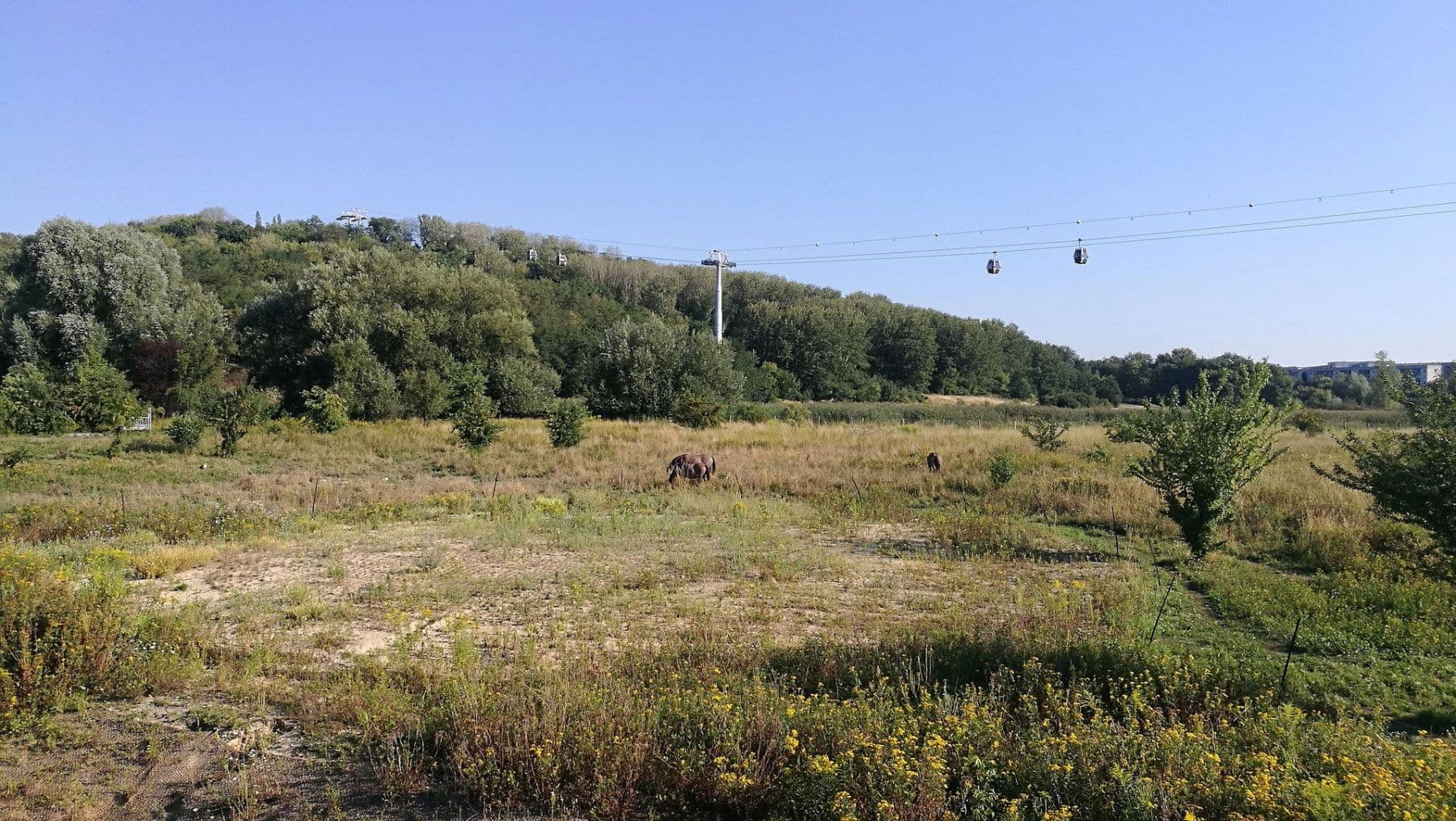 3 bedroom flat for sale, 83 m², Hellersdorfer Straße, 111, Berlin, Berlin 3 bedroom flat for sale, 83 m², Hellersdorfer Straße, 111, Berlin, Berlin