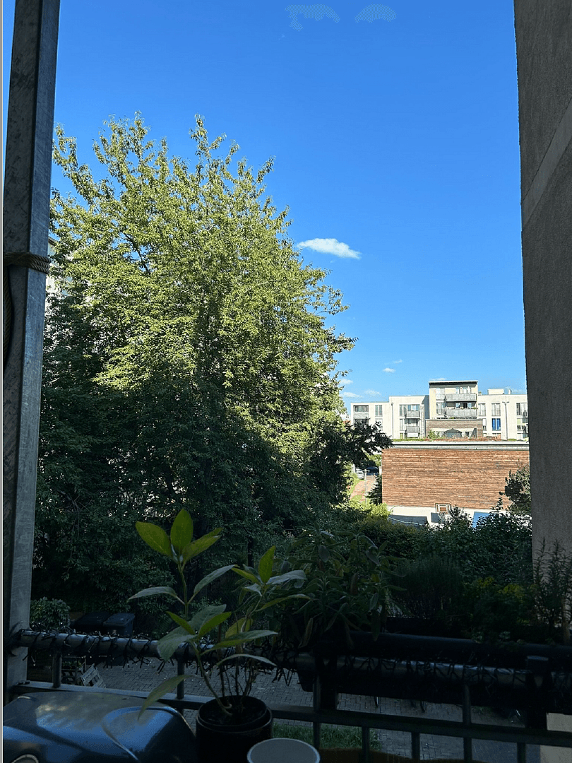 3 bedroom flat to rent, 81 m², Thomasiusstraße 7, Halle, Saxony-Anhalt 3 bedroom flat to rent, 81 m², Thomasiusstraße 7, Halle, Saxony-Anhalt