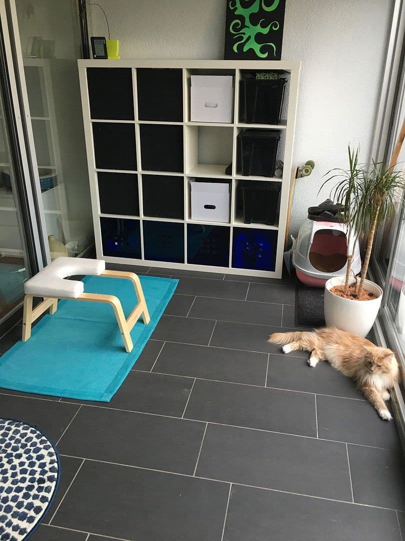 2 bedroom flat to rent, 59 m², Herrengutgasse 18c, Lauterach, Vorarlberg 2 bedroom flat to rent, 59 m², Herrengutgasse 18c, Lauterach, Vorarlberg