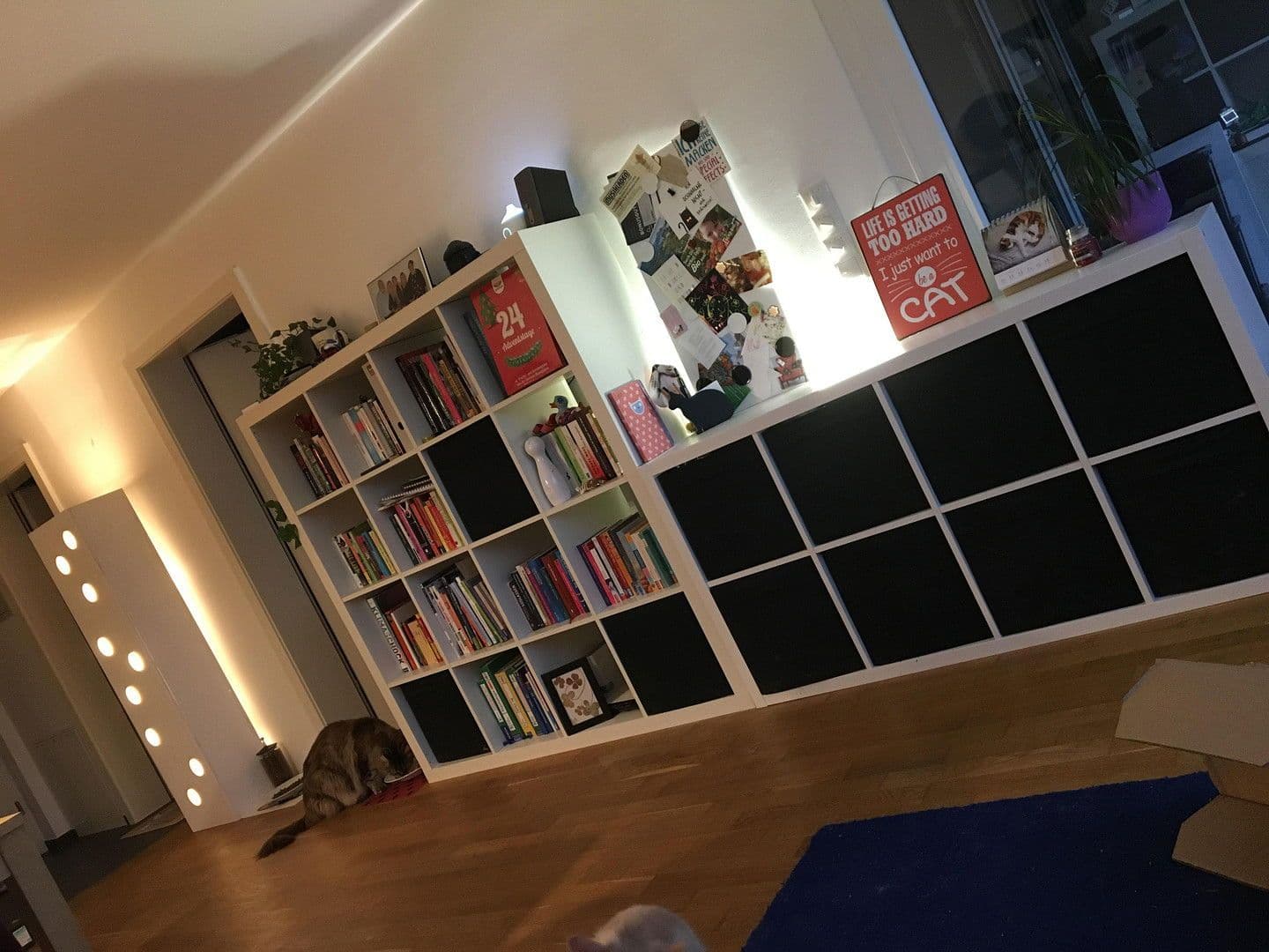 2 bedroom flat to rent, 59 m², Herrengutgasse 18c, Lauterach, Vorarlberg 2 bedroom flat to rent, 59 m², Herrengutgasse 18c, Lauterach, Vorarlberg