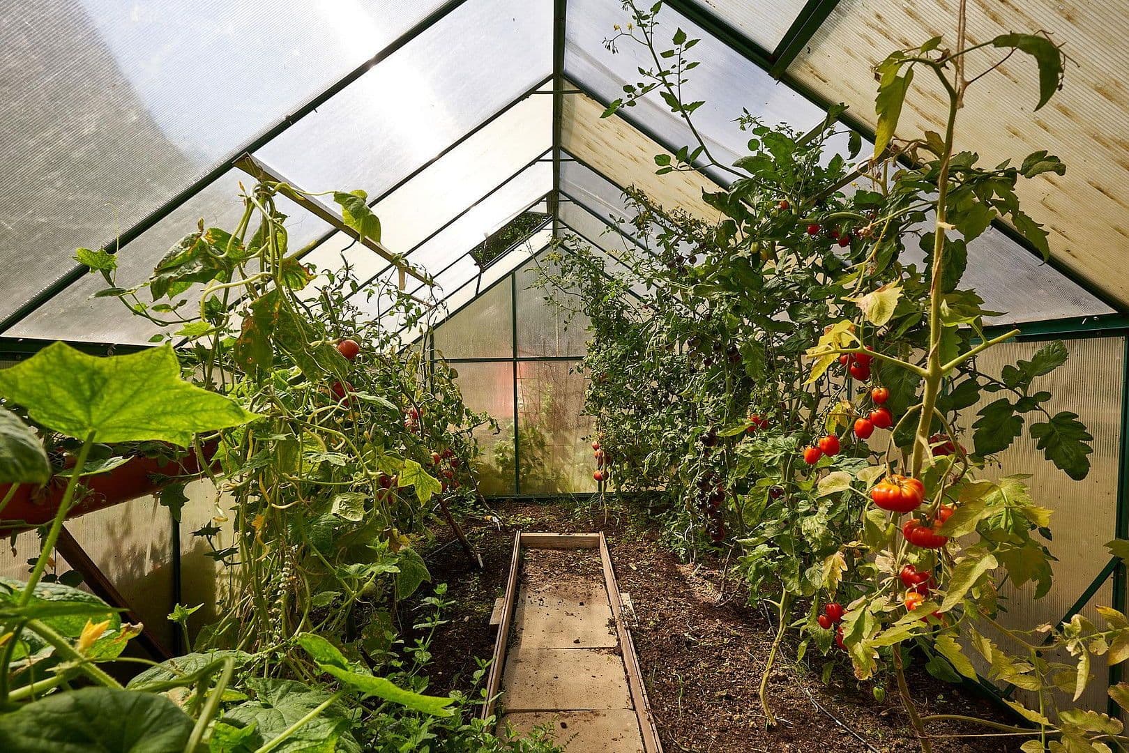 house for sale, 271 m², Lauingen (Donau), Bavaria house for sale, 271 m², Lauingen (Donau), Bavaria