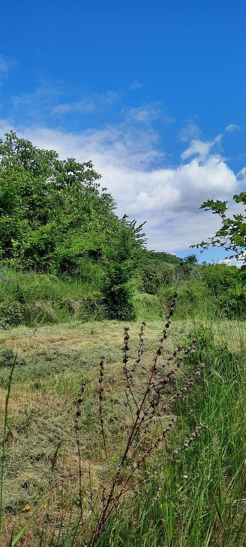 plot for sale, 8,272 m², Ranch Ried Retter, Krems, Lower Austria plot for sale, 8,272 m², Ranch Ried Retter, Krems, Lower Austria