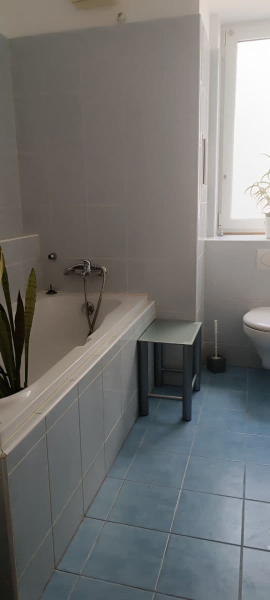 Studio flat to rent, 36 m², Kudrnova, Prague, Prague Studio flat to rent, 36 m², Kudrnova, Prague, Prague