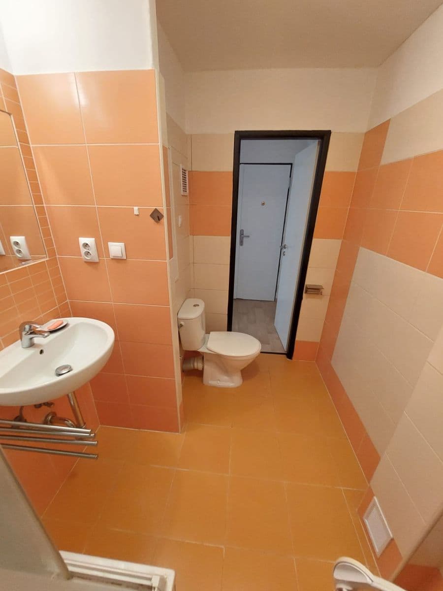 1 bedroom flat to rent, 42 m², Smrková, Plzeň, Plzeňský Region 1 bedroom flat to rent, 42 m², Smrková, Plzeň, Plzeňský Region