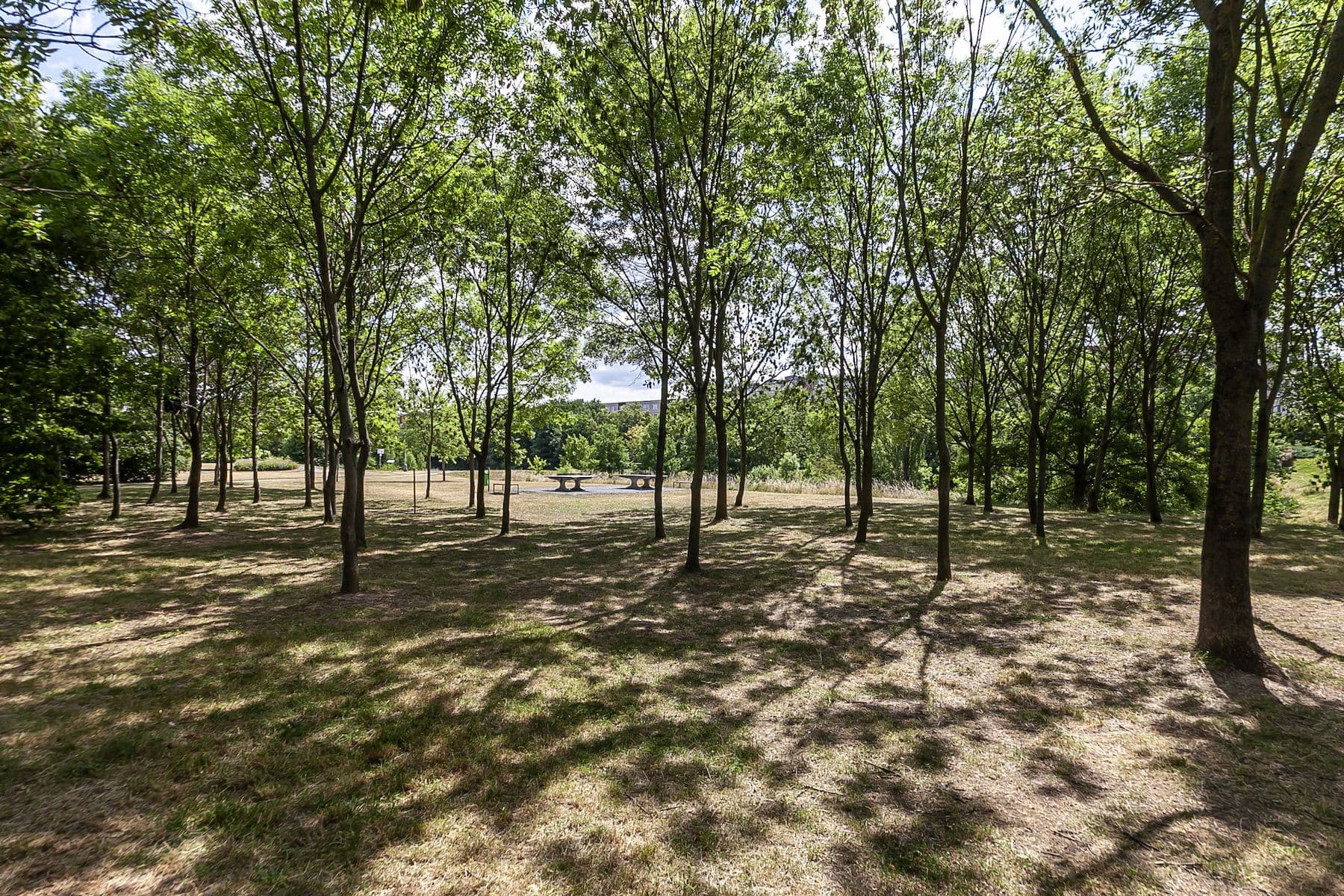 2 bedroom flat for sale, 62 m², Bouřilova, Prague, Prague 2 bedroom flat for sale, 62 m², Bouřilova, Prague, Prague