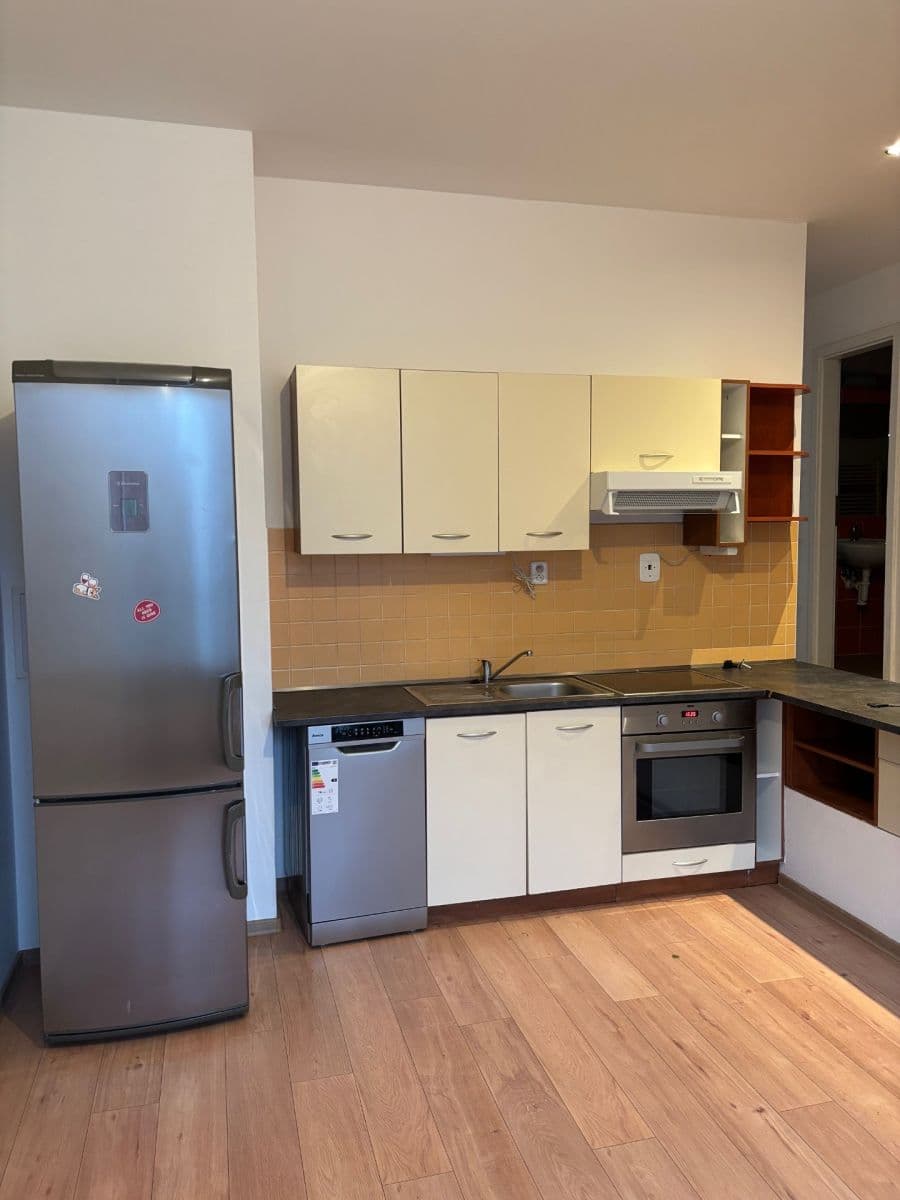 1 bedroom with open-plan kitchen flat to rent, 52 m², Bieblova, Prague, Prague 1 bedroom with open-plan kitchen flat to rent, 52 m², Bieblova, Prague, Prague