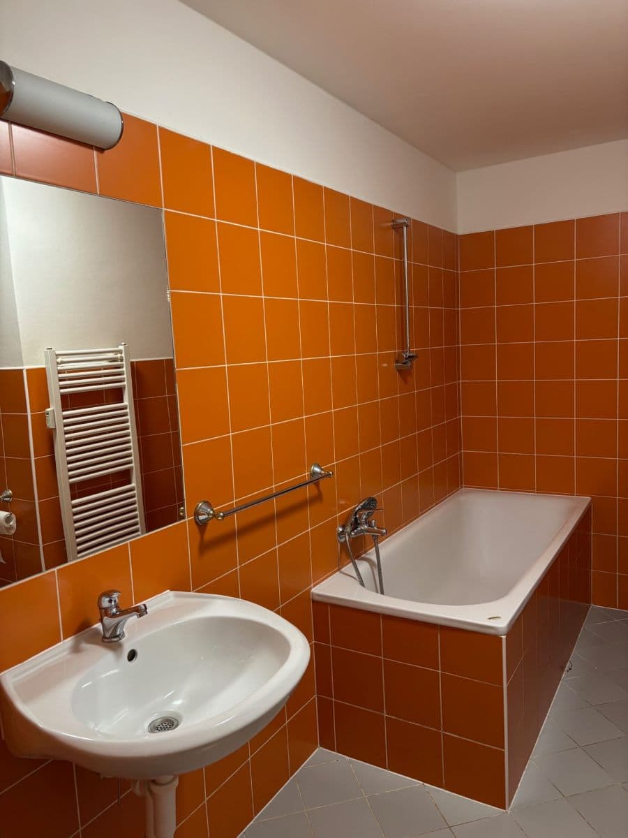 1 bedroom with open-plan kitchen flat to rent, 52 m², Bieblova, Prague, Prague 1 bedroom with open-plan kitchen flat to rent, 52 m², Bieblova, Prague, Prague