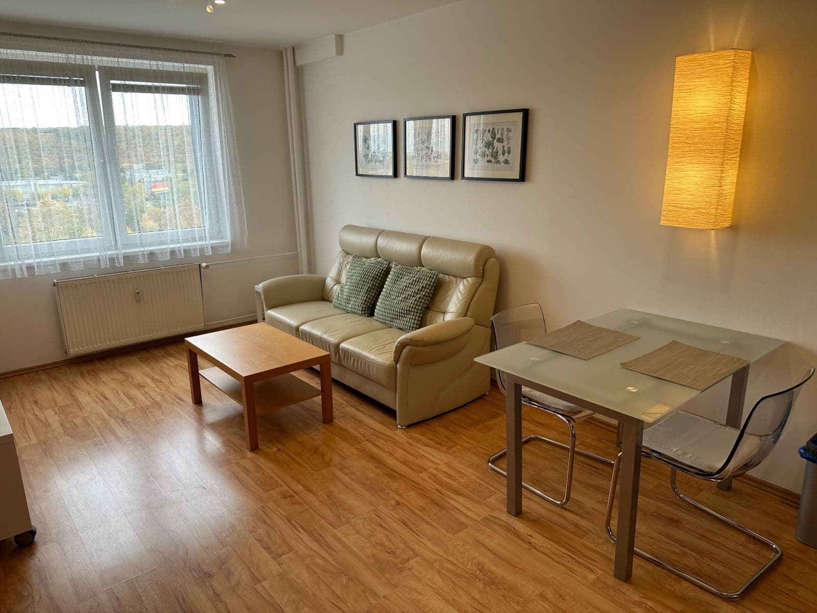 1 bedroom with open-plan kitchen flat to rent, 42 m², Štúrova, Prague, Prague 1 bedroom with open-plan kitchen flat to rent, 42 m², Štúrova, Prague, Prague