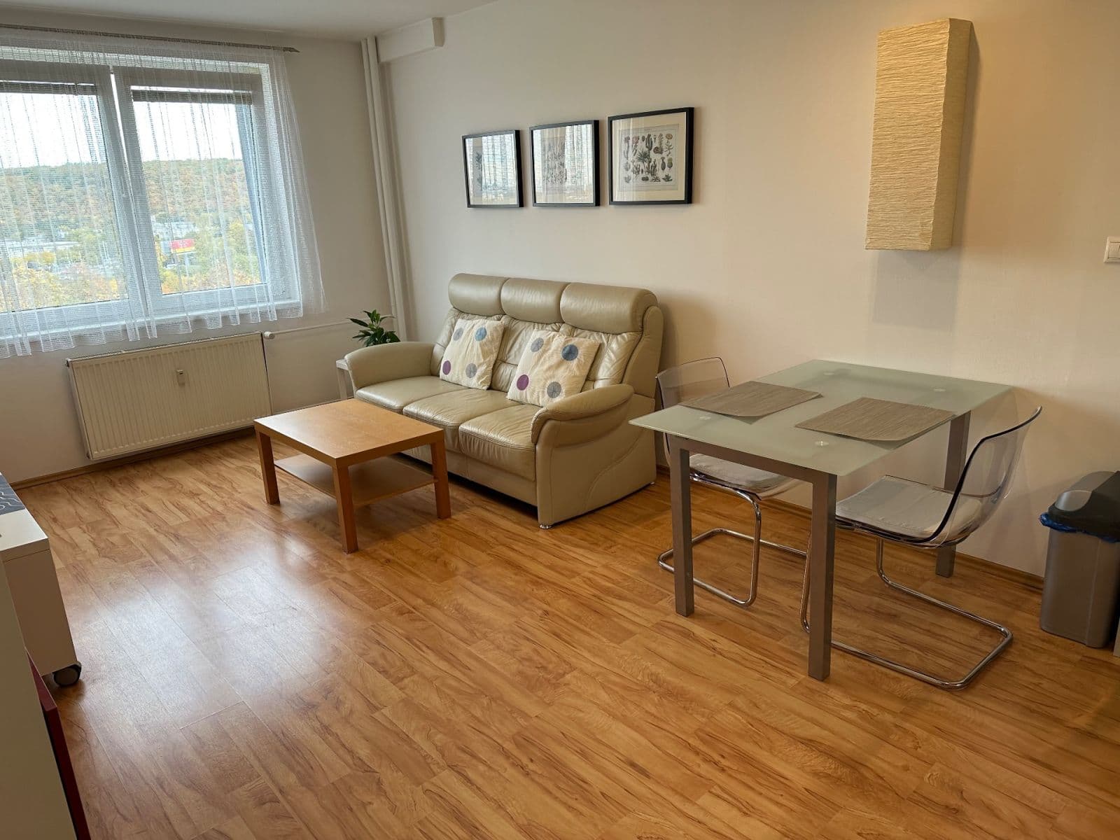 1 bedroom with open-plan kitchen flat to rent, 42 m², Štúrova, Prague, Prague 1 bedroom with open-plan kitchen flat to rent, 42 m², Štúrova, Prague, Prague