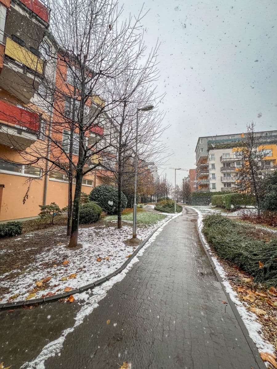 Studio flat to rent, 41 m², Poděbradská, Prague, Prague Studio flat to rent, 41 m², Poděbradská, Prague, Prague