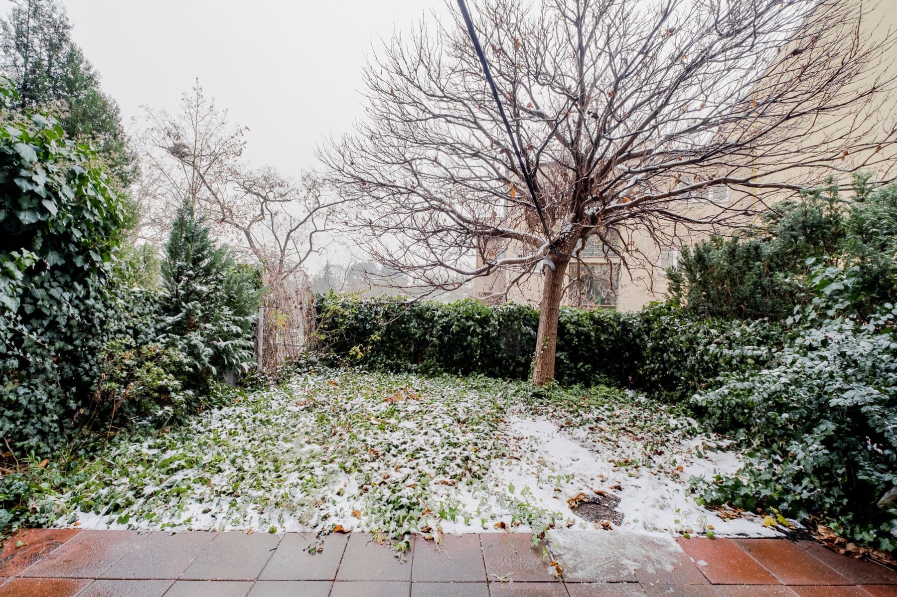 flat to rent, 63 m², U Zvonařky, Prague, Prague flat to rent, 63 m², U Zvonařky, Prague, Prague