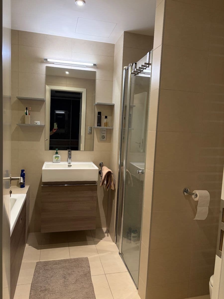 1 bedroom with open-plan kitchen flat to rent, 64 m², Menclova, Prague, Prague 1 bedroom with open-plan kitchen flat to rent, 64 m², Menclova, Prague, Prague