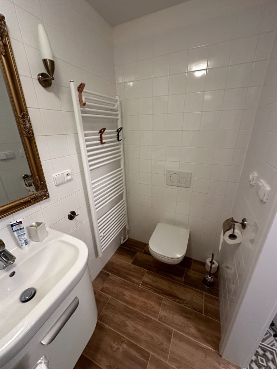 1 bedroom with open-plan kitchen flat for sale, 57 m², Vítkovice, Liberecký Region 1 bedroom with open-plan kitchen flat for sale, 57 m², Vítkovice, Liberecký Region