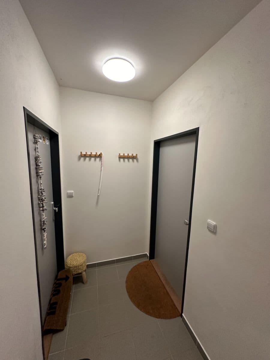 1 bedroom with open-plan kitchen flat for sale, 57 m², Vítkovice, Liberecký Region 1 bedroom with open-plan kitchen flat for sale, 57 m², Vítkovice, Liberecký Region