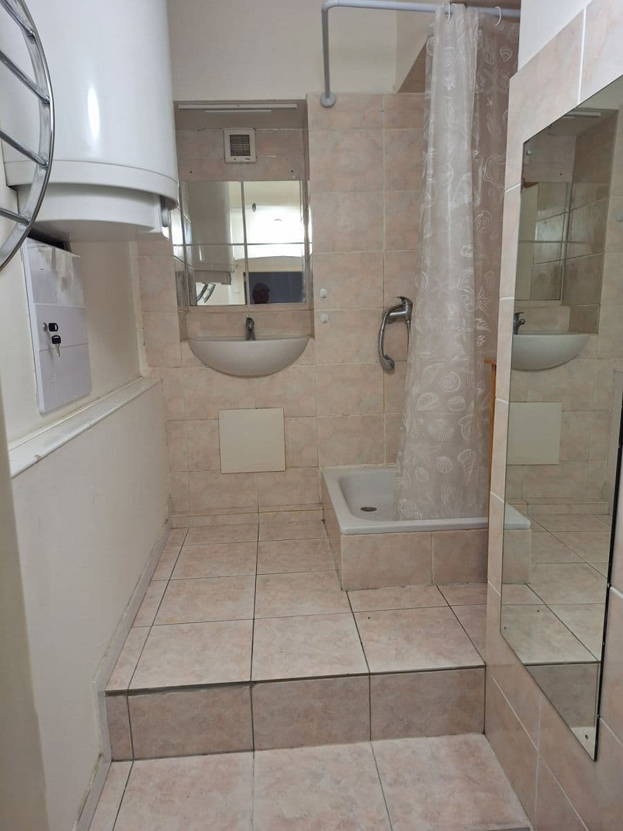 1 bedroom with open-plan kitchen flat to rent, 38 m², Václavkova, Prague, Prague 1 bedroom with open-plan kitchen flat to rent, 38 m², Václavkova, Prague, Prague