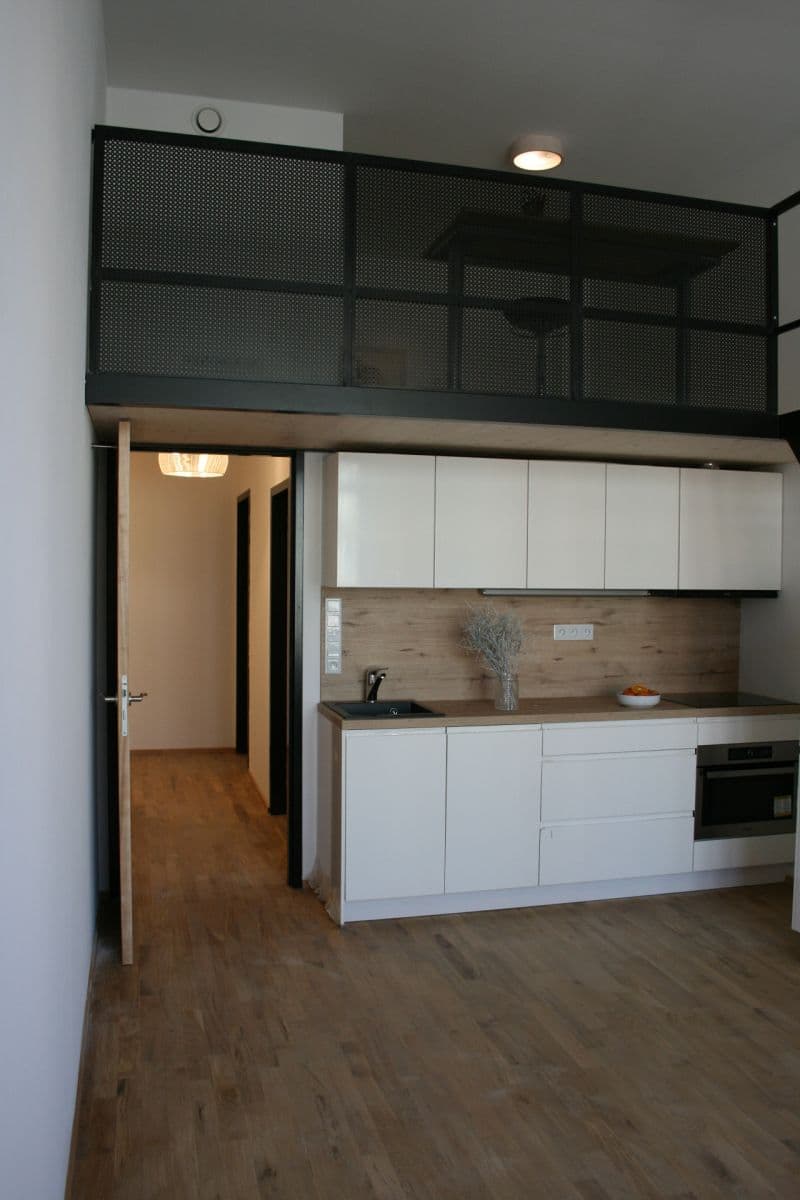 1 bedroom with open-plan kitchen flat to rent, 54 m², Ambrožova, Prague, Prague 1 bedroom with open-plan kitchen flat to rent, 54 m², Ambrožova, Prague, Prague