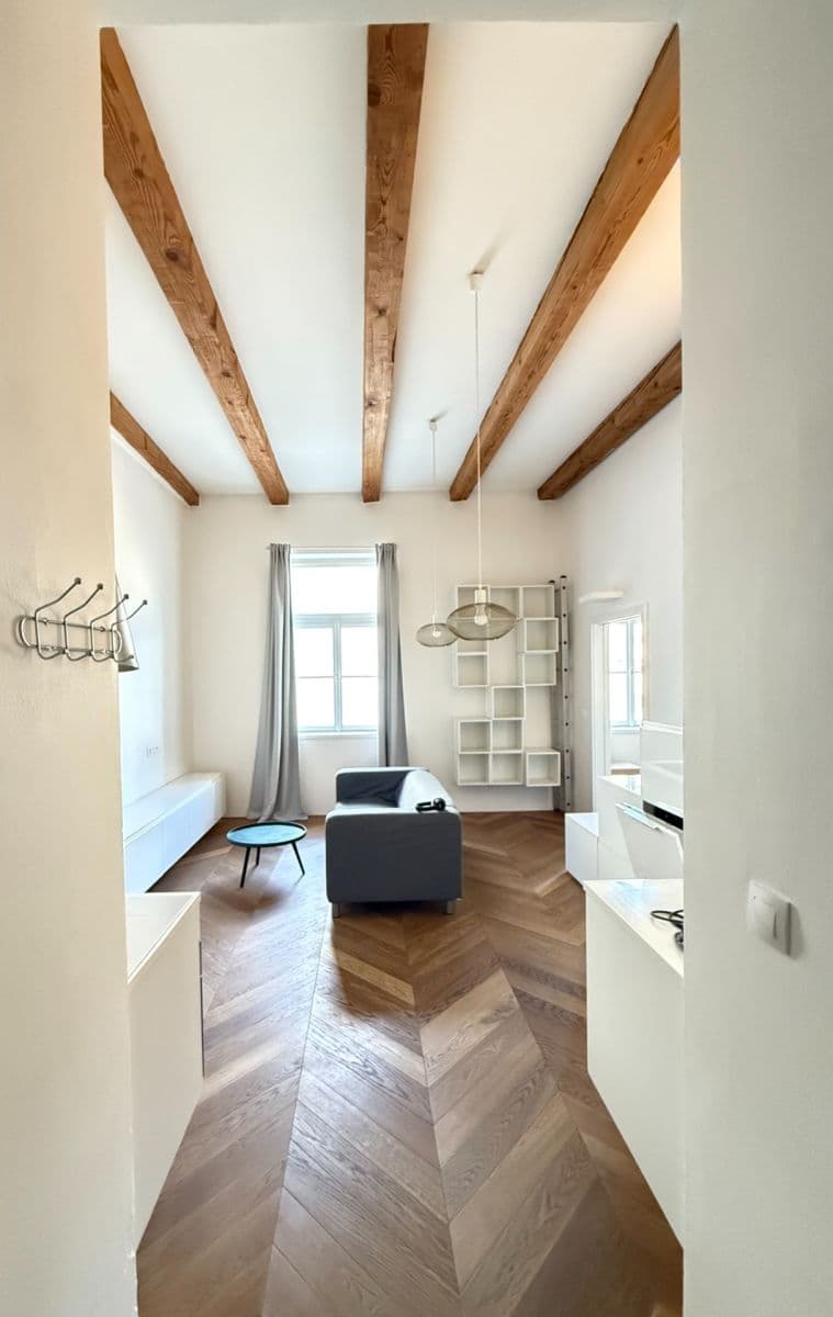 1 bedroom with open-plan kitchen flat to rent, 46 m², 28. pluku, Prague, Prague 1 bedroom with open-plan kitchen flat to rent, 46 m², 28. pluku, Prague, Prague