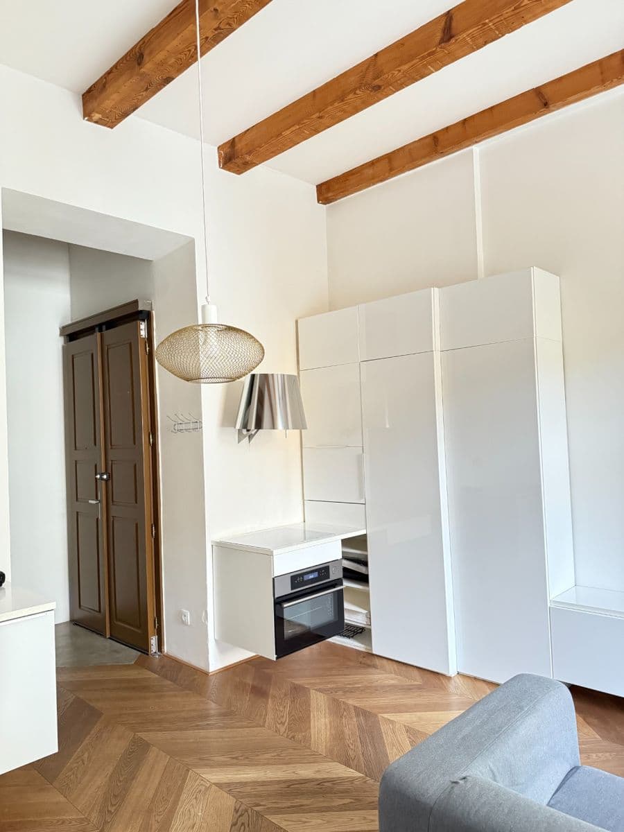 1 bedroom with open-plan kitchen flat to rent, 46 m², 28. pluku, Prague, Prague 1 bedroom with open-plan kitchen flat to rent, 46 m², 28. pluku, Prague, Prague