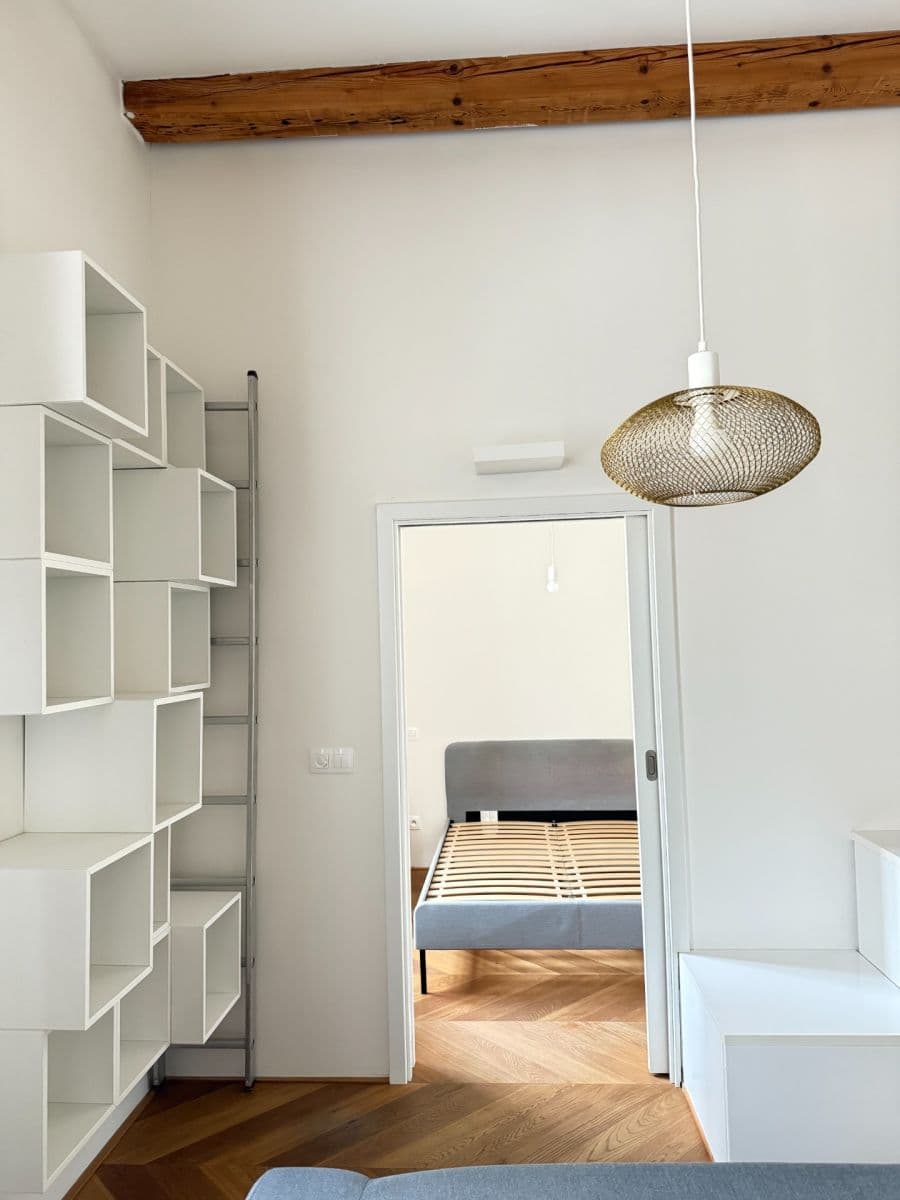 1 bedroom with open-plan kitchen flat to rent, 46 m², 28. pluku, Prague, Prague 1 bedroom with open-plan kitchen flat to rent, 46 m², 28. pluku, Prague, Prague