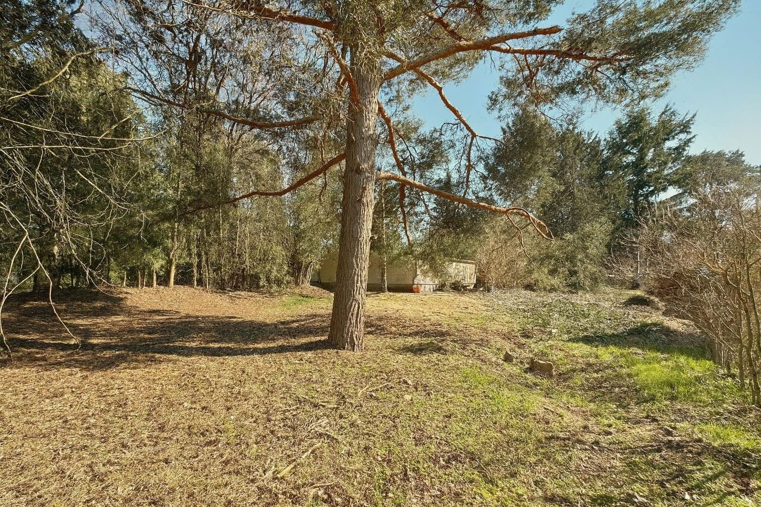 house for sale, 150 m², Potsdamer Str. 7, Schöneiche bei Berlin, Brandenburg house for sale, 150 m², Potsdamer Str. 7, Schöneiche bei Berlin, Brandenburg