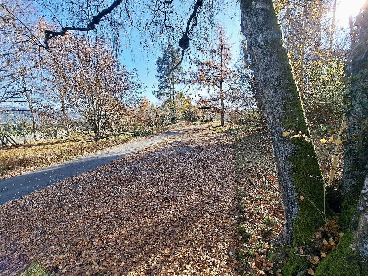 house for sale, 872 m², Sankt Veit an der Glan, Carinthia house for sale, 872 m², Sankt Veit an der Glan, Carinthia