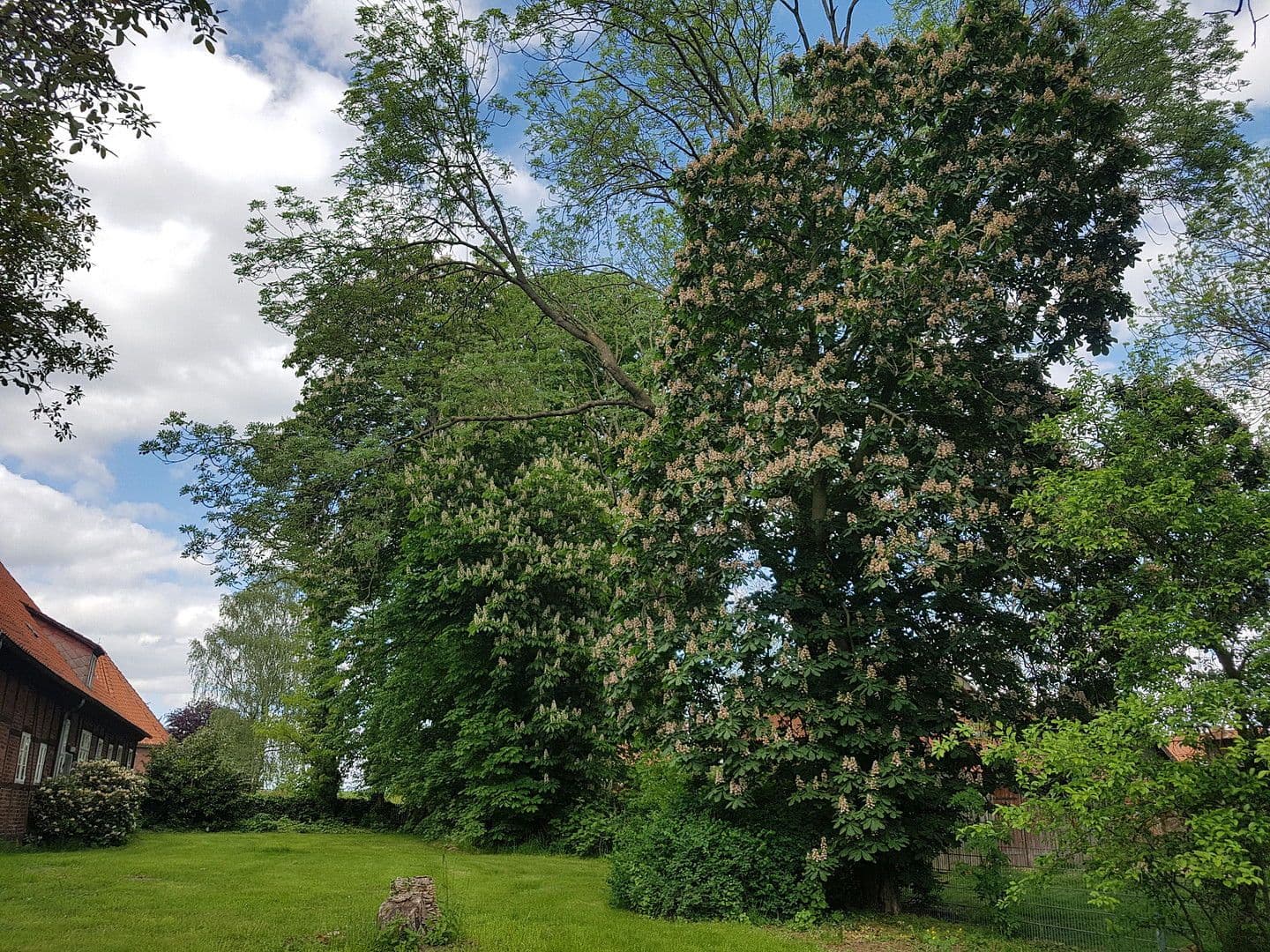 house for sale, 210 m², Zum Kirchplatz 14, Bleckede, Lower Saxony house for sale, 210 m², Zum Kirchplatz 14, Bleckede, Lower Saxony