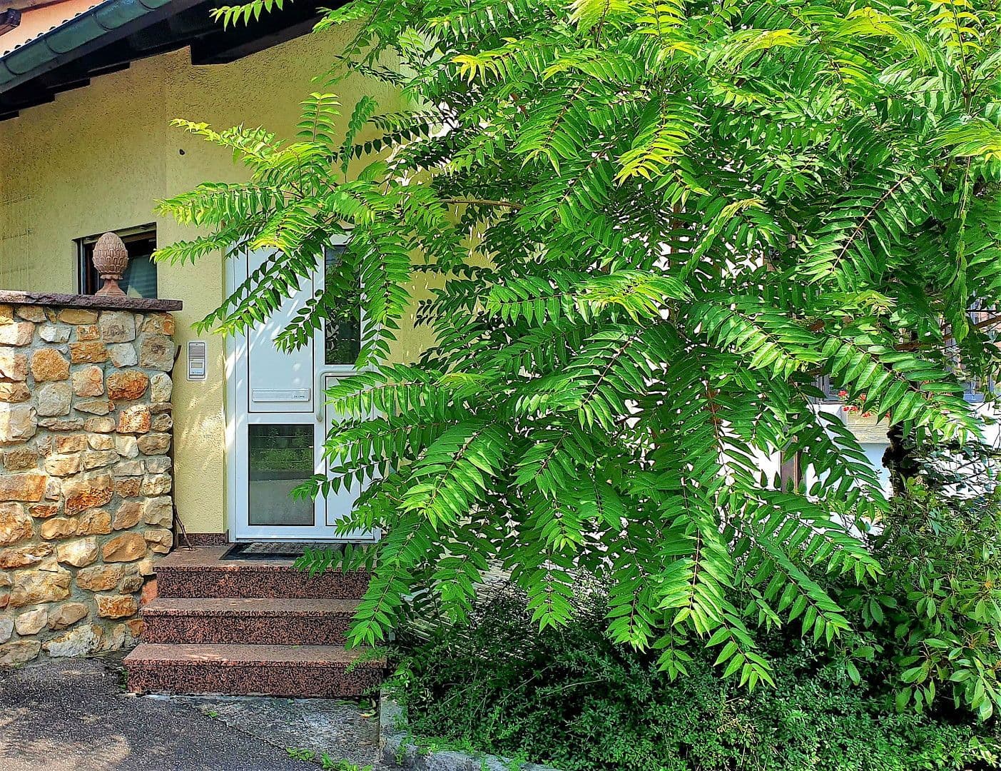 house for sale, 406 m², Augster Strasse 4, Rheinfelden (Baden), Baden-Württemberg house for sale, 406 m², Augster Strasse 4, Rheinfelden (Baden), Baden-Württemberg