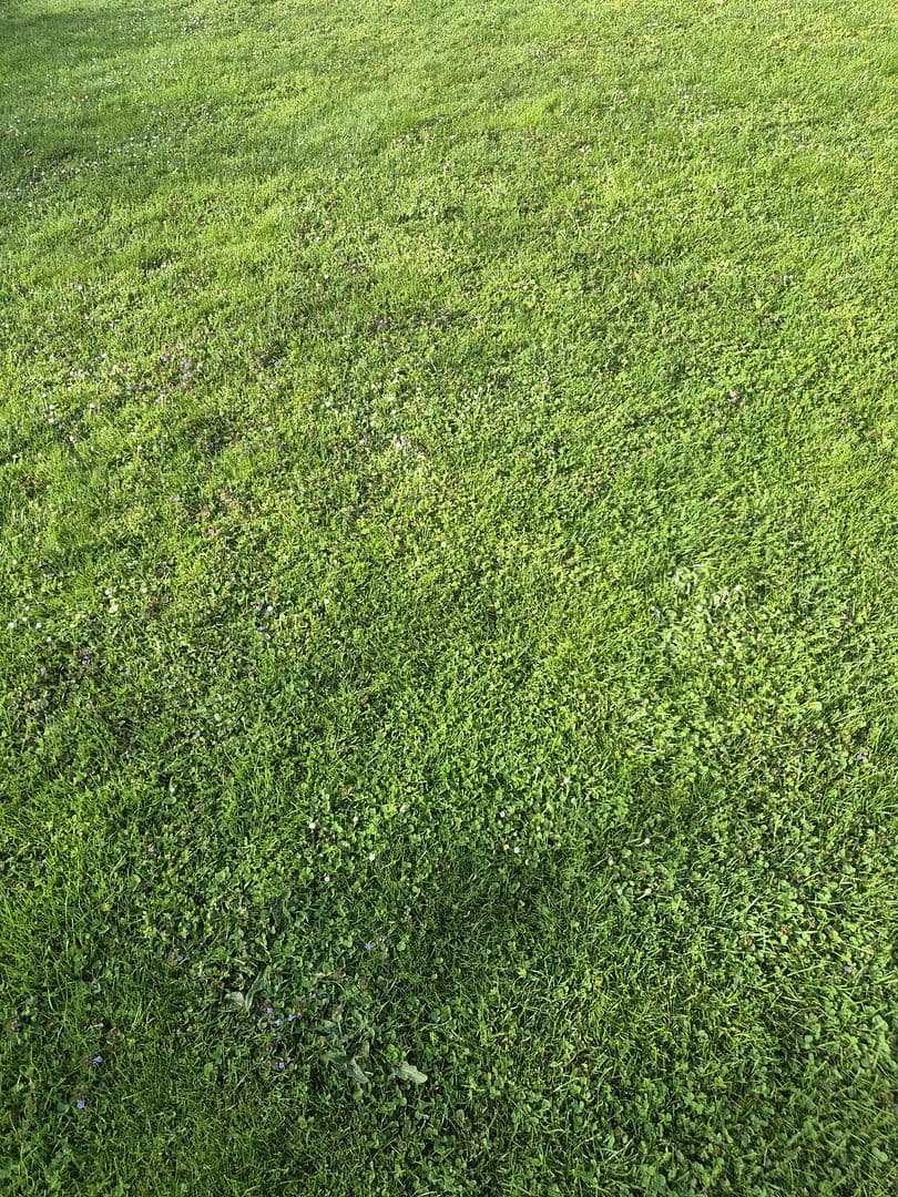 plot for sale, 414 m², Hollabrunn, Lower Austria plot for sale, 414 m², Hollabrunn, Lower Austria