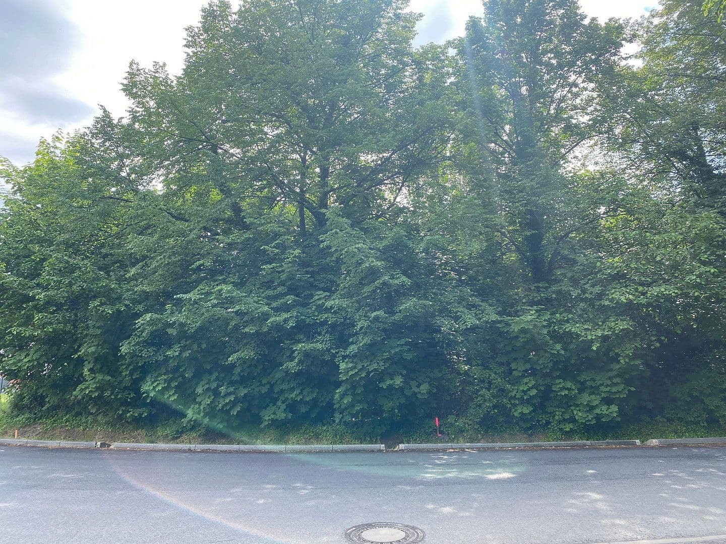 plot for sale, 740 m², Max-Eyth-Allee 8, Potsdam, Brandenburg plot for sale, 740 m², Max-Eyth-Allee 8, Potsdam, Brandenburg