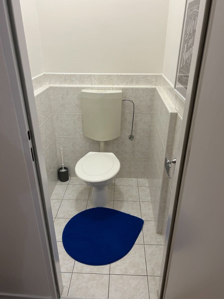 1 bedroom with open-plan kitchen flat to rent, 56 m², Prague, Prague 1 bedroom with open-plan kitchen flat to rent, 56 m², Prague, Prague