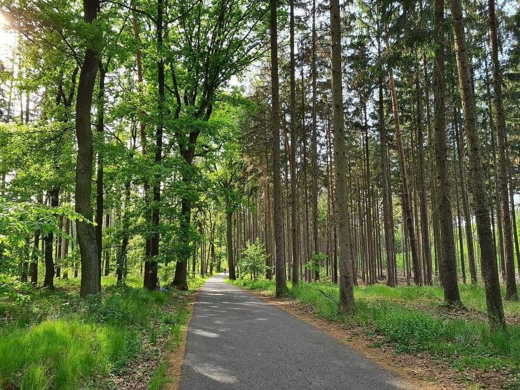 2 bedroom with open-plan kitchen flat for sale, 118 m², V Zeleném údolí, Prague, Prague 2 bedroom with open-plan kitchen flat for sale, 118 m², V Zeleném údolí, Prague, Prague