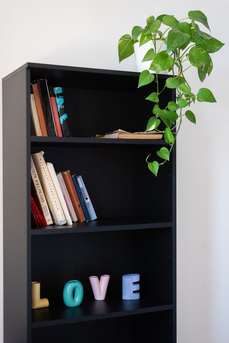 flat to rent, 65 m², Těšnov, Prague, Prague flat to rent, 65 m², Těšnov, Prague, Prague