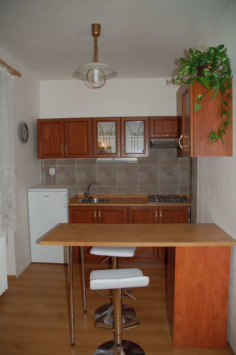 1 bedroom with open-plan kitchen flat to rent, 56 m², Karla IV., Pardubice, Pardubický Region 1 bedroom with open-plan kitchen flat to rent, 56 m², Karla IV., Pardubice, Pardubický Region