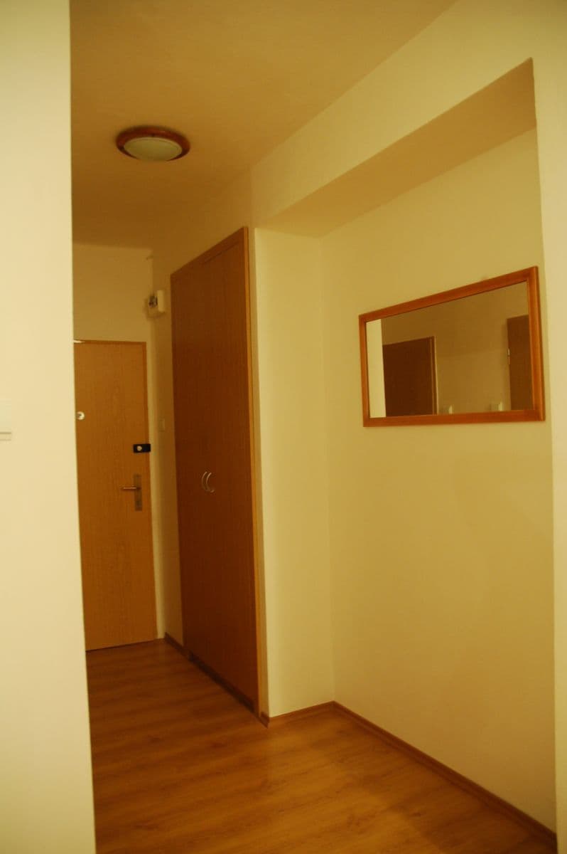 1 bedroom with open-plan kitchen flat to rent, 56 m², Karla IV., Pardubice, Pardubický Region 1 bedroom with open-plan kitchen flat to rent, 56 m², Karla IV., Pardubice, Pardubický Region