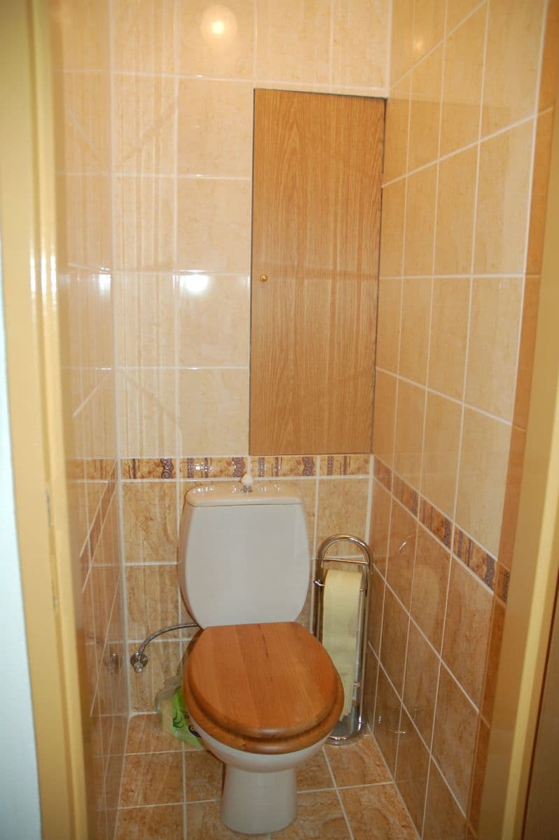 1 bedroom with open-plan kitchen flat to rent, 56 m², Karla IV., Pardubice, Pardubický Region 1 bedroom with open-plan kitchen flat to rent, 56 m², Karla IV., Pardubice, Pardubický Region