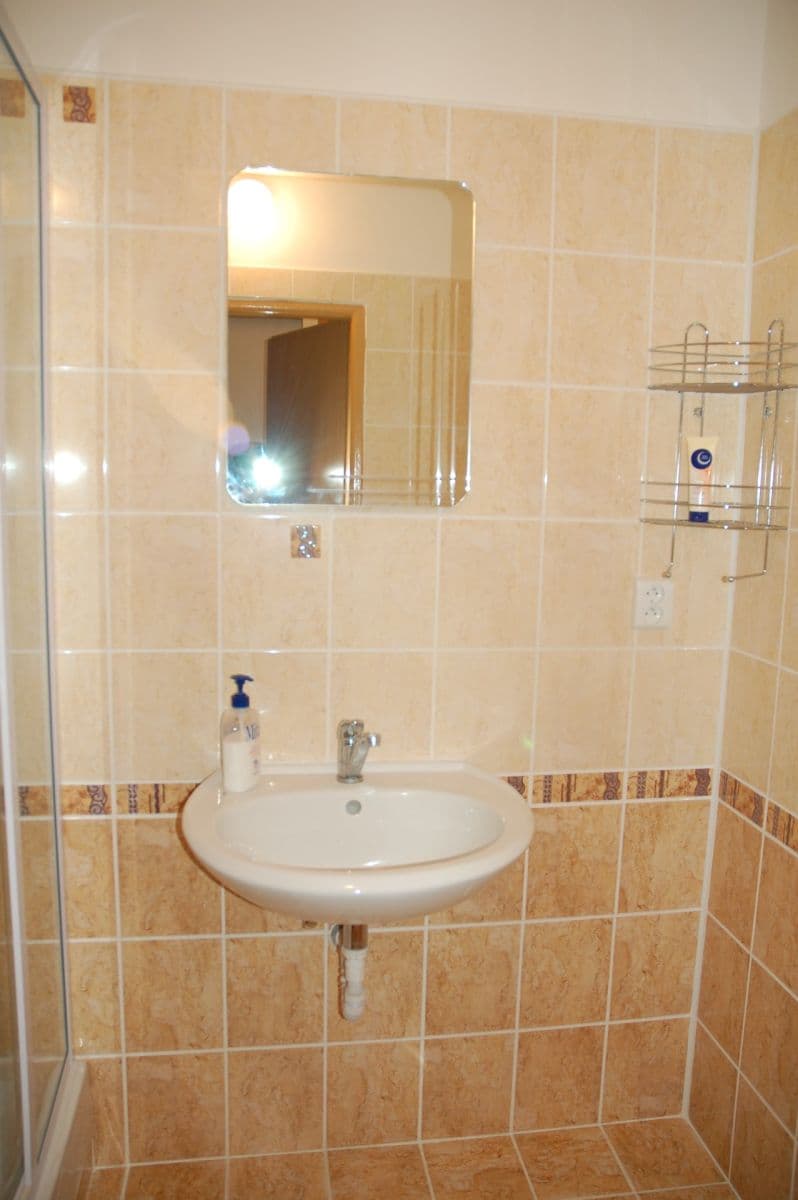 1 bedroom with open-plan kitchen flat to rent, 56 m², Karla IV., Pardubice, Pardubický Region 1 bedroom with open-plan kitchen flat to rent, 56 m², Karla IV., Pardubice, Pardubický Region