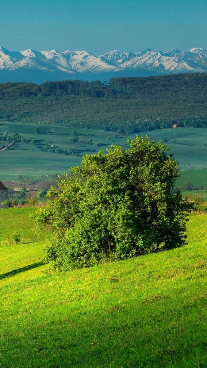 house to rent, 100 m², Turnov, Liberecký Region house to rent, 100 m², Turnov, Liberecký Region