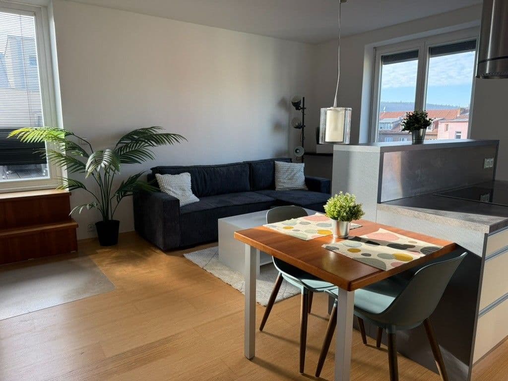 1 bedroom with open-plan kitchen flat to rent, 69 m², Rybářská, Brno, Jihomoravský Region 1 bedroom with open-plan kitchen flat to rent, 69 m², Rybářská, Brno, Jihomoravský Region