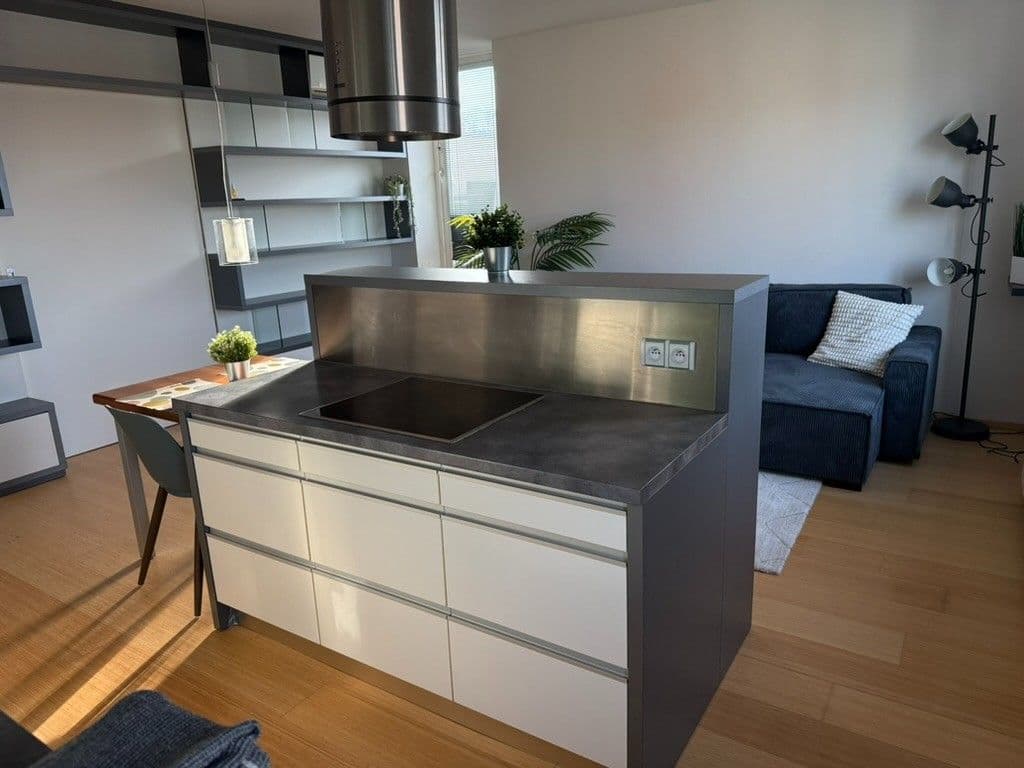 1 bedroom with open-plan kitchen flat to rent, 69 m², Rybářská, Brno, Jihomoravský Region 1 bedroom with open-plan kitchen flat to rent, 69 m², Rybářská, Brno, Jihomoravský Region