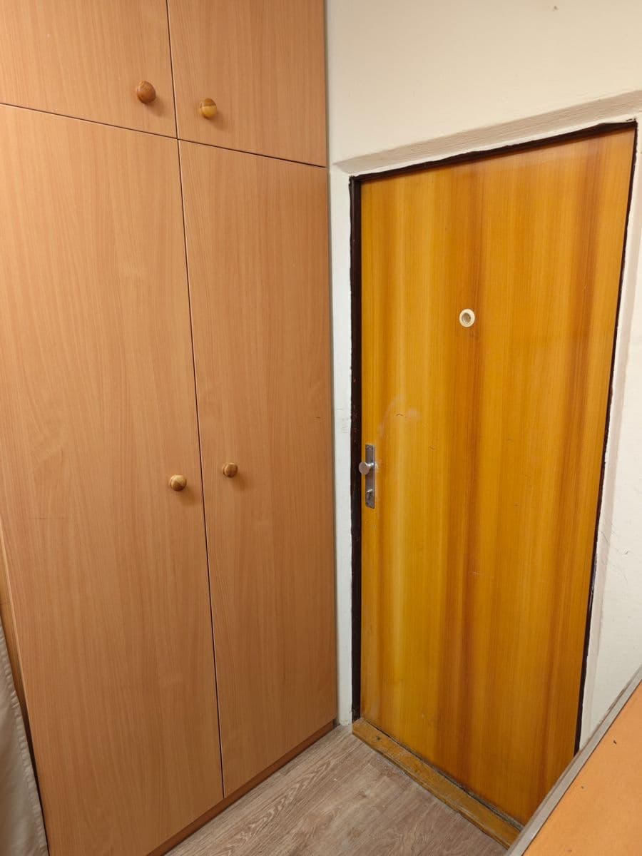 2 bedroom flat to rent, 58 m², Krajní, Plzeň, Plzeňský Region 2 bedroom flat to rent, 58 m², Krajní, Plzeň, Plzeňský Region