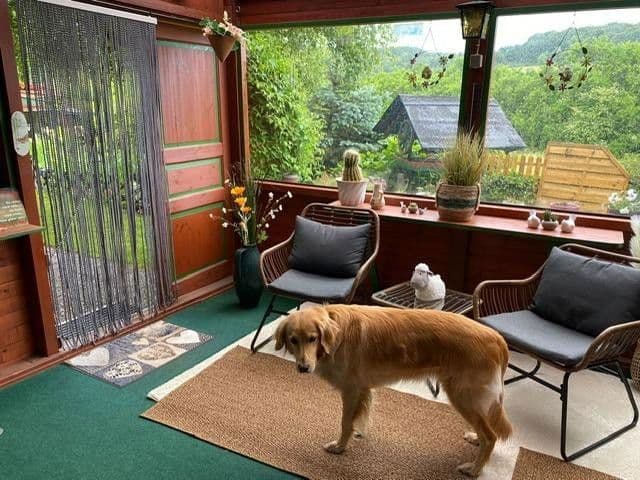 house to rent, 193 m², Haschbach am Remigiusberg, Rhineland-Palatinate house to rent, 193 m², Haschbach am Remigiusberg, Rhineland-Palatinate