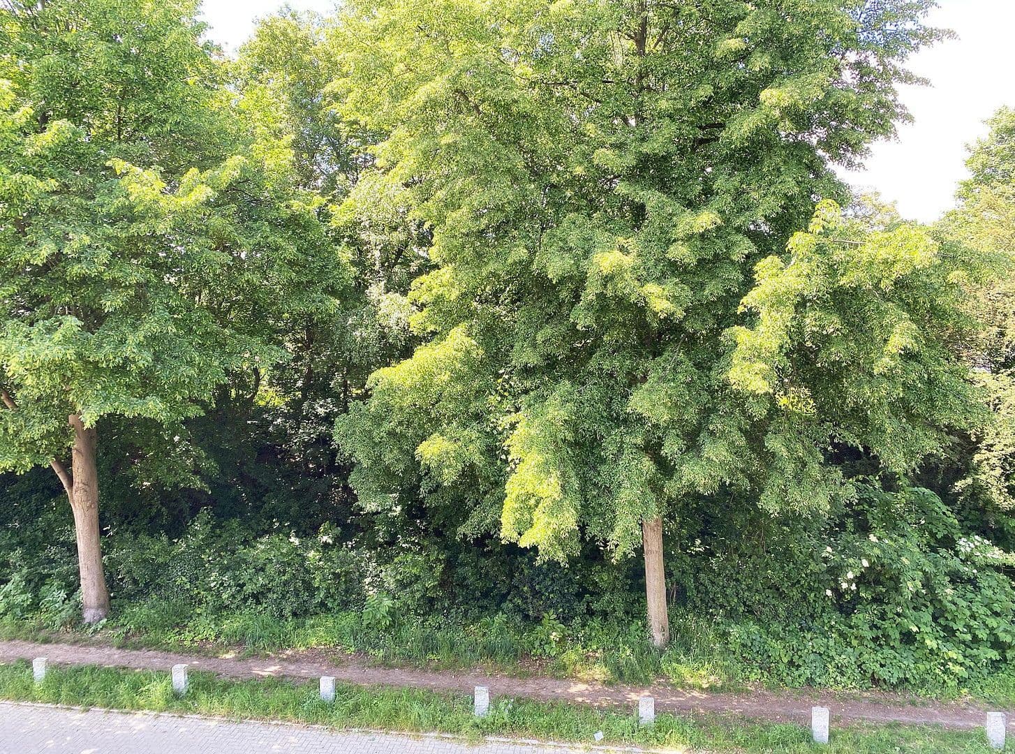 5 bedroom flat for sale, 120 m², Hamburg, Hamburg 5 bedroom flat for sale, 120 m², Hamburg, Hamburg