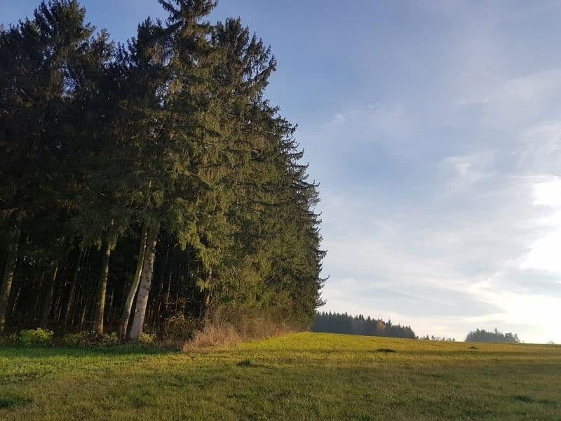 plot for sale, 15,400 m², Schnaittach, Bavaria plot for sale, 15,400 m², Schnaittach, Bavaria