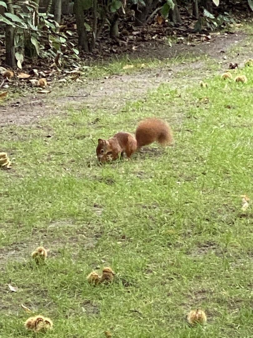 house for sale, 280 m², Dortmund, North Rhine-Westphalia house for sale, 280 m², Dortmund, North Rhine-Westphalia