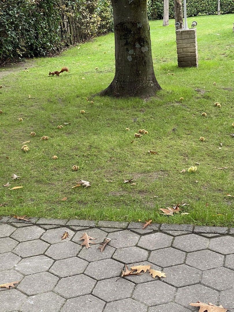 house for sale, 280 m², Dortmund, North Rhine-Westphalia house for sale, 280 m², Dortmund, North Rhine-Westphalia