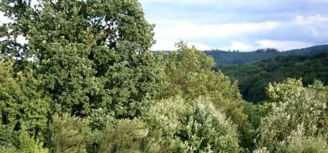 3 bedroom flat to rent, 60 m², Schwäbisch Gmünd, Baden-Württemberg 3 bedroom flat to rent, 60 m², Schwäbisch Gmünd, Baden-Württemberg