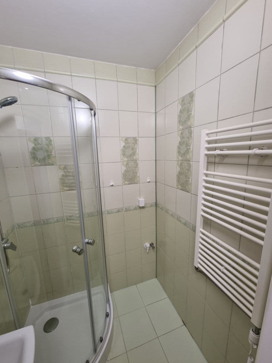 1 bedroom flat to rent, 40 m², Bukovany, Karlovarský Region 1 bedroom flat to rent, 40 m², Bukovany, Karlovarský Region