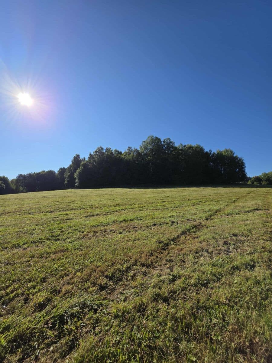 plot for sale, 4,441 m², Černá v Pošumaví, Jihočeský Region plot for sale, 4,441 m², Černá v Pošumaví, Jihočeský Region