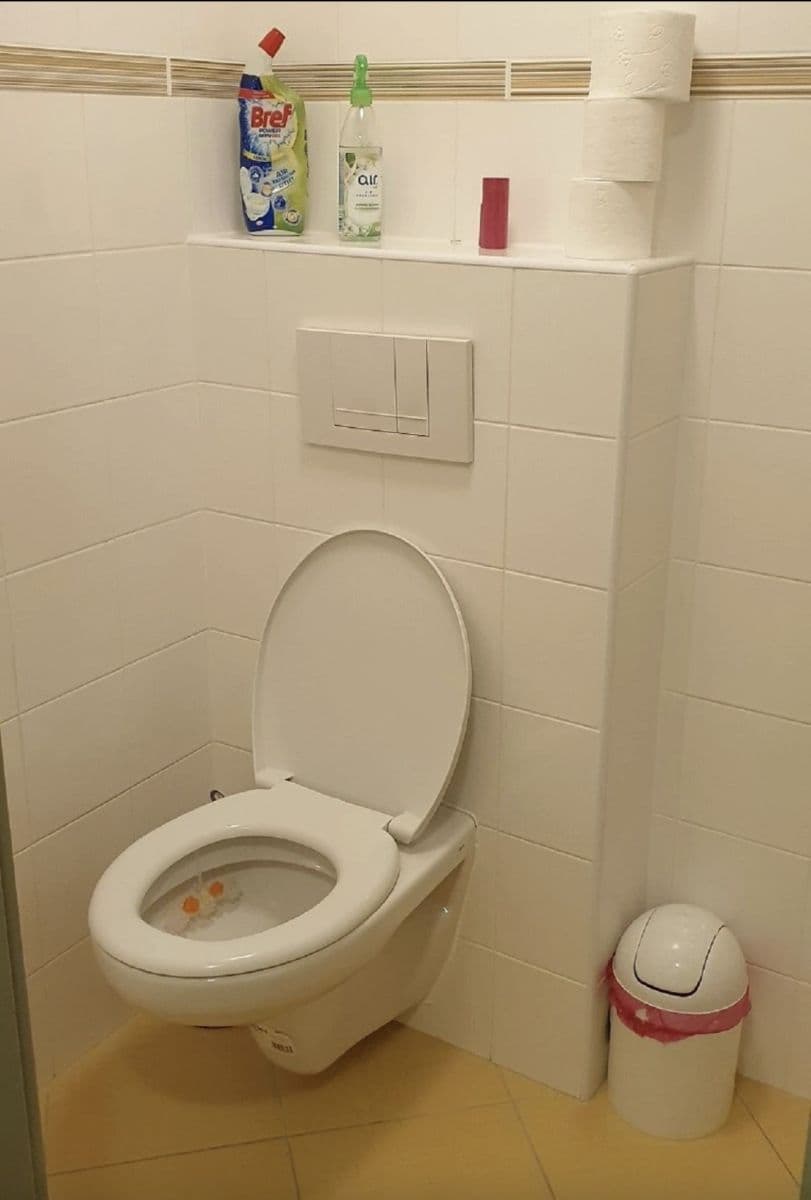 flat to rent, 130 m², Benátky, Benátky, Pardubický Region flat to rent, 130 m², Benátky, Benátky, Pardubický Region