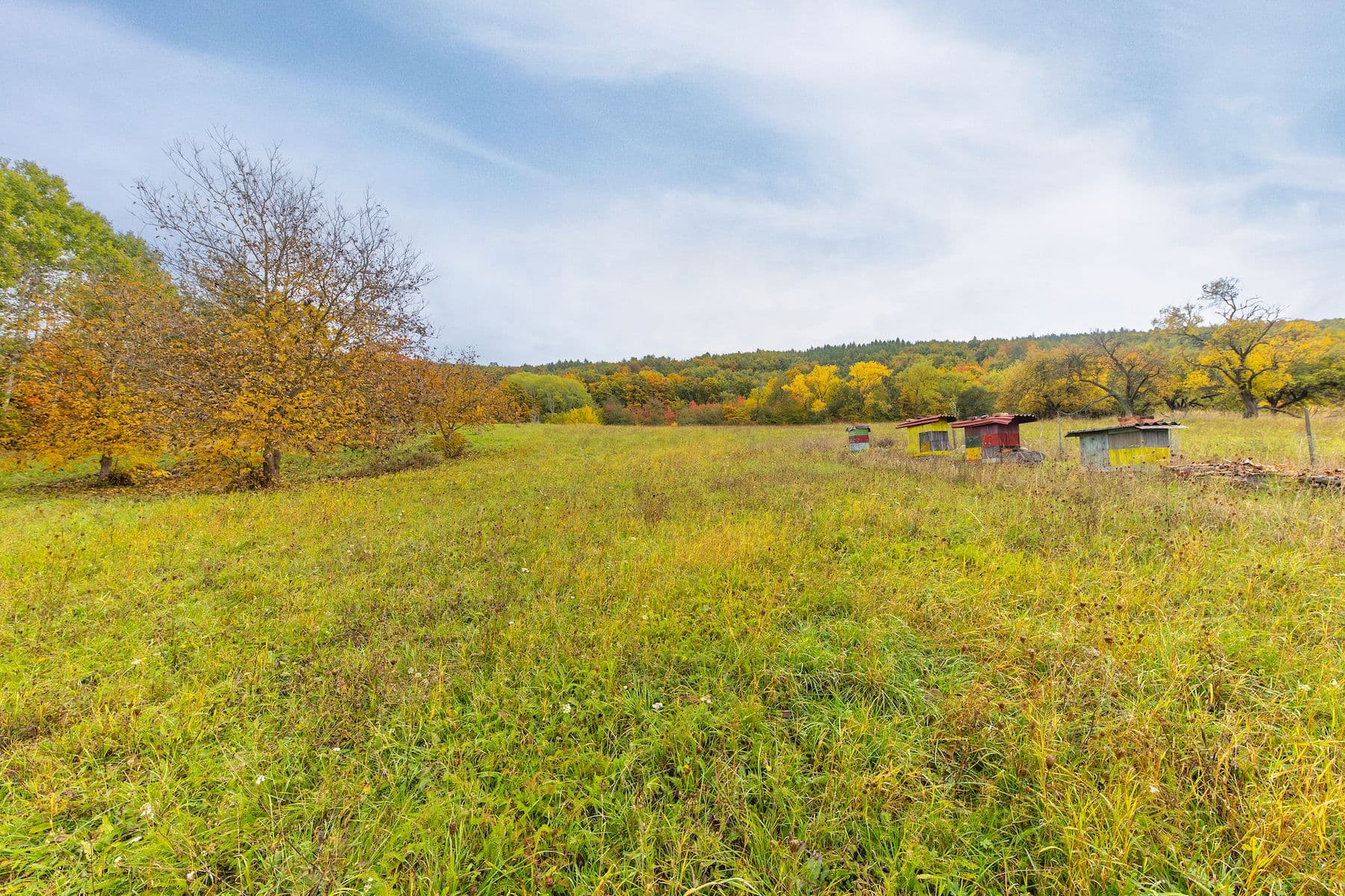 plot for sale, 5,229 m², Lažany, Jihomoravský Region plot for sale, 5,229 m², Lažany, Jihomoravský Region